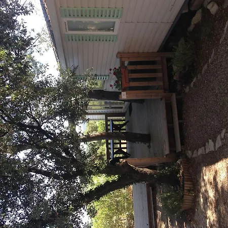 Team Holiday - Camping Mer Et Camargue 4* Calvisson