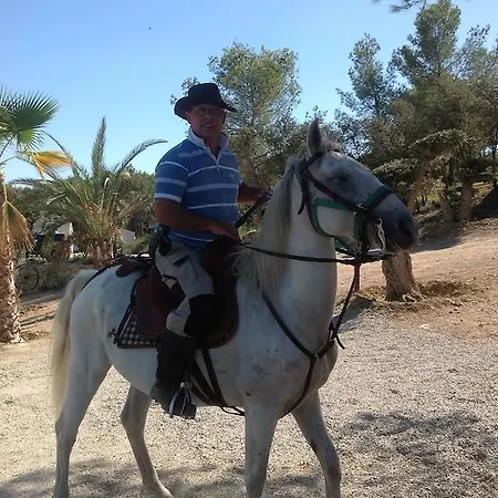 Team Holiday - Camping Mer Et Camargue 4*
