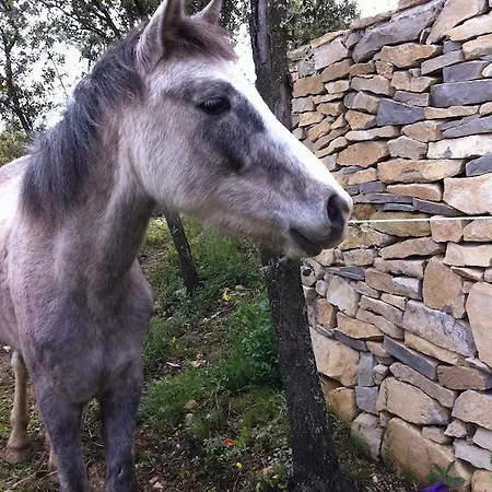 Kemping Team Holiday - Camping Mer Et Camargue Calvisson