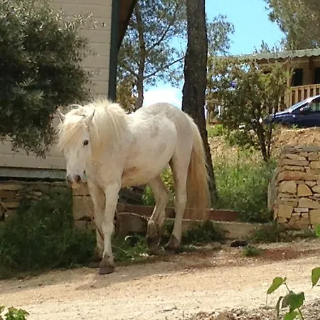 Team Holiday - Camping Mer Et Camargue Kemping