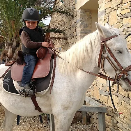 Team Holiday - Camping Mer Et Camargue